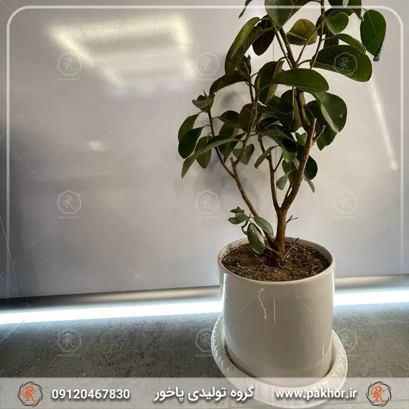 جلوگیری از فرسایش دیوار و نورپردازی زیبا با قرنیز چراغ دار
